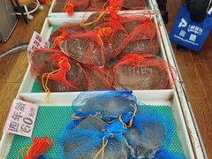 -德清诚信农产品莫干湖甲鱼直销店