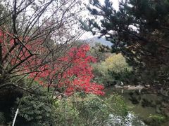 -杭州半山国家森林公园