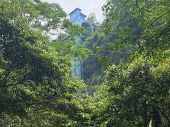 -碧峰峡风景区