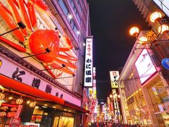 -蟹道乐(道顿堀本店)