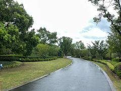 -昆山城市生态森林公园