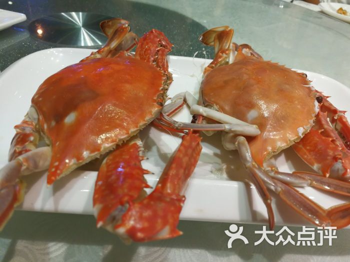 海八鲜酒楼-图片-兴城市美食-大众点评网