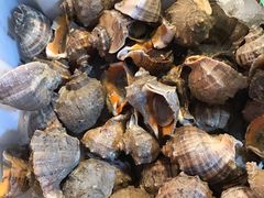 -芦潮港集贸市场