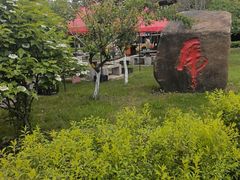 -横道河子东北虎林园