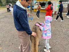 -前小桔亲子创意农场·草莓采摘·露营烧烤