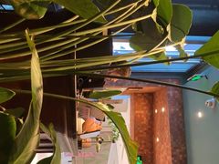 -星叶·东南亚料理(宁波万象汇店)