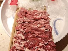 -小龙坎火锅(全球旗舰店)