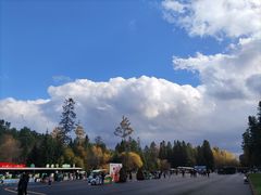 -五营红松林海景区