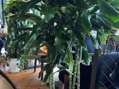 -盐帮食坊•小河帮川菜(四川师大店)