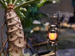 -J Create城市露营咖啡·简餐·宠物(上海动物园店)