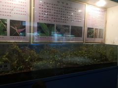 -上海昆虫博物馆