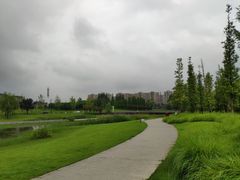 -两河城市森林公园