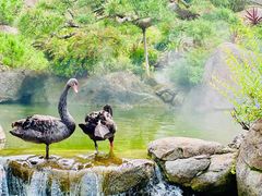 -罗红摄影艺术馆