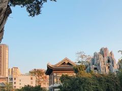 -荔湾湖公园
