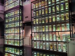 -广东中医药博物馆