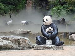 -成都动物园