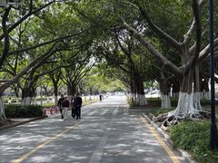-厦门大学(思明校区)