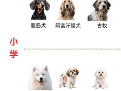 -宠乐迪宠物生活馆(德平路店)