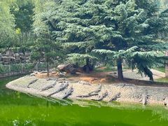 -石家庄市动物园