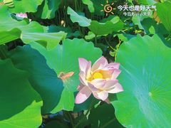 -莫催咖啡