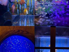 -华夏文旅西安度假区