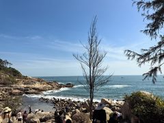 -广东惠东海龟国家级自然保护区