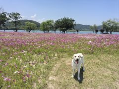 -南北湖风景区