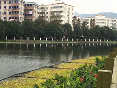 -河泥荡文化公园