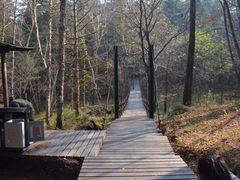 -五营红松林海景区