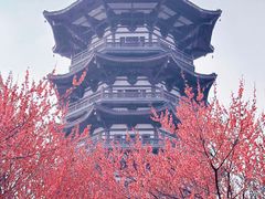 -洋湖国家湿地公园