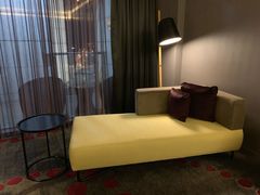 -南京禄口机场雅高铂尔曼大酒店