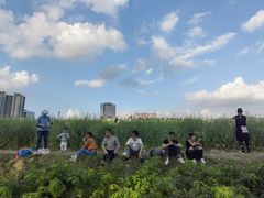 -光明小镇欢乐田园