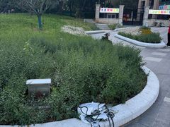 -管氏翅吧(望京东店)