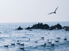 -星海广场