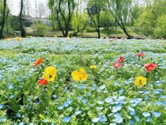 -上海滨江森林公园