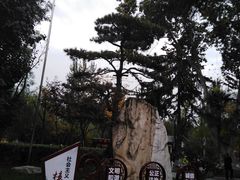 -莲湖公园