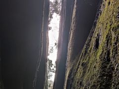 -崀山风景名胜区