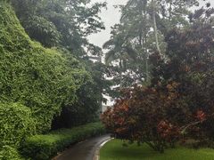 -中国科学院西双版纳热带植物园