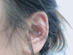 -花师傅