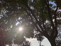 -河北省第三届（邢台园博园）园林博览会