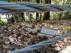 -红山森林动物园