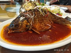 罾蹦鲤鱼-津菜宋记老房子(鼓楼店)