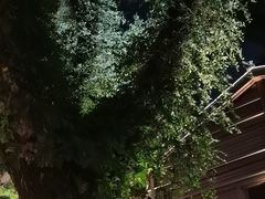 -星巴克(福州三坊七巷店)