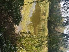 -云岗森林公园