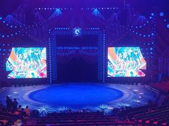 -珠海横琴长隆《卡卡虎奇遇记》