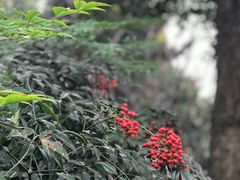 -曲阳公园篮球场·梦巨体育(虹口店)