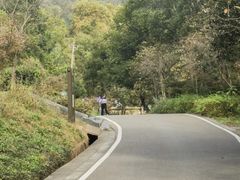 -南京老山国家森林公园