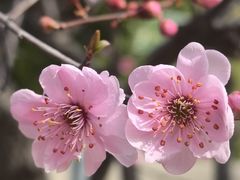 -白塘生态植物园