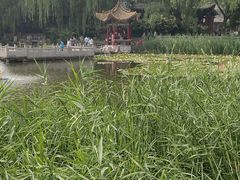 -文瀛公园
