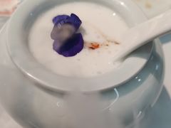 -鑫悦诚府·新鲁菜·餐厅(趵突泉店)